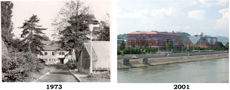 Two images of the hosting facilities for Department of Immunology, one in 1973 and other in 2001.